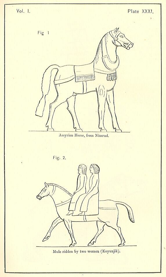 Plate 31 