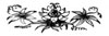 decorative illustration decorative illustration