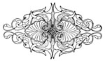 decorative illustration decorative illustration