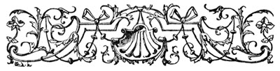 decorative illustration decorative illustration