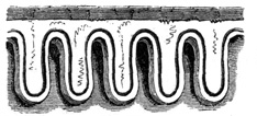 Mouldings