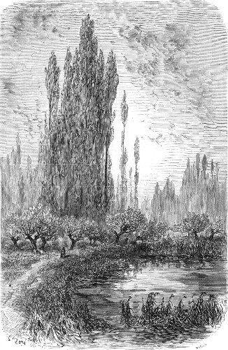 ILE DES ÉPIS.