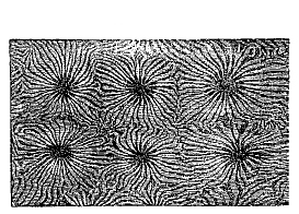 Fig. 108.
