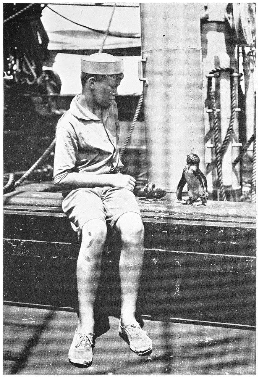 On Deck with “Pinkie” the Penguin.