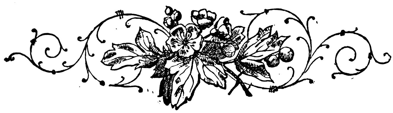 [Fleuron]
