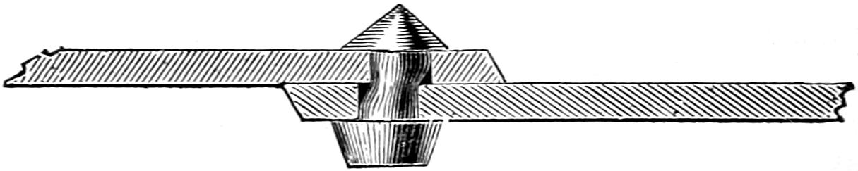 Rivet in plate