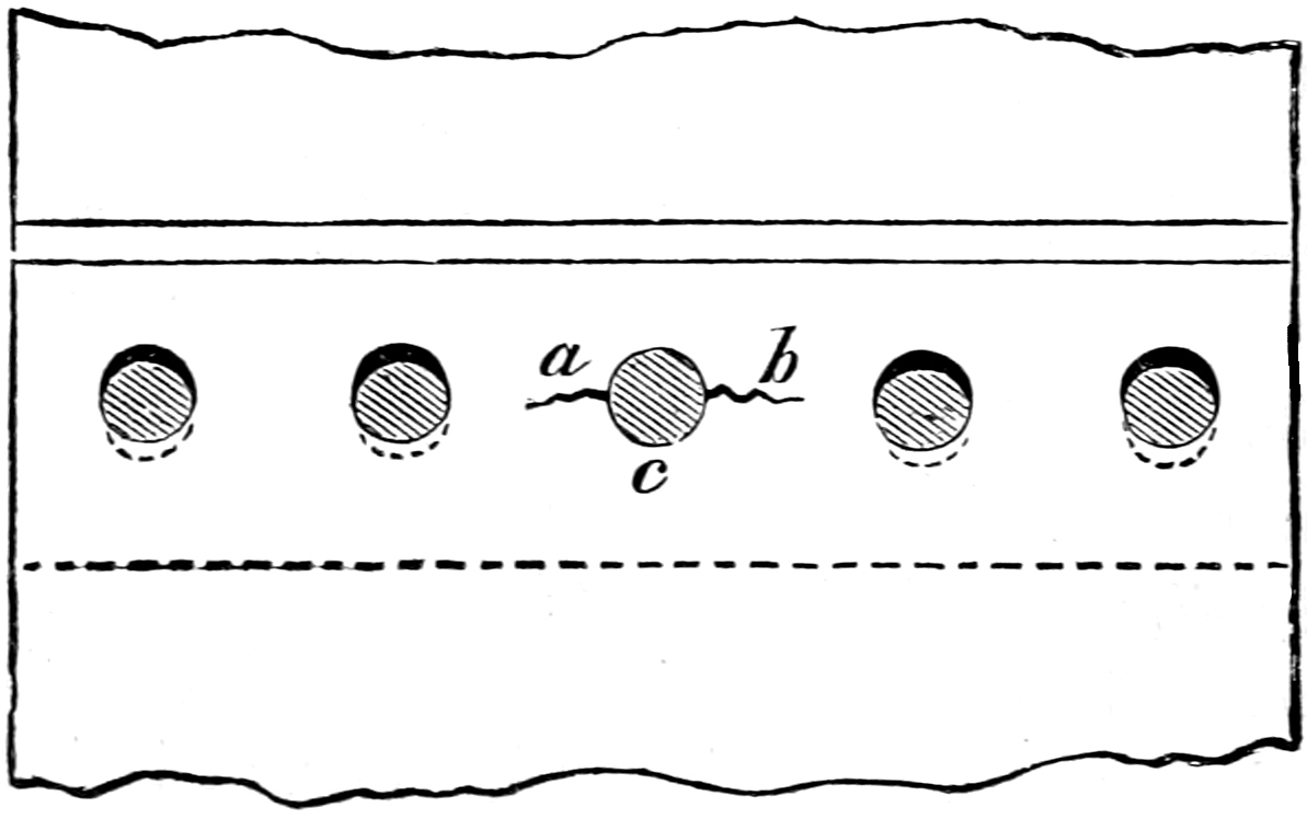 Rivets in plate