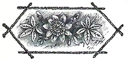 image010