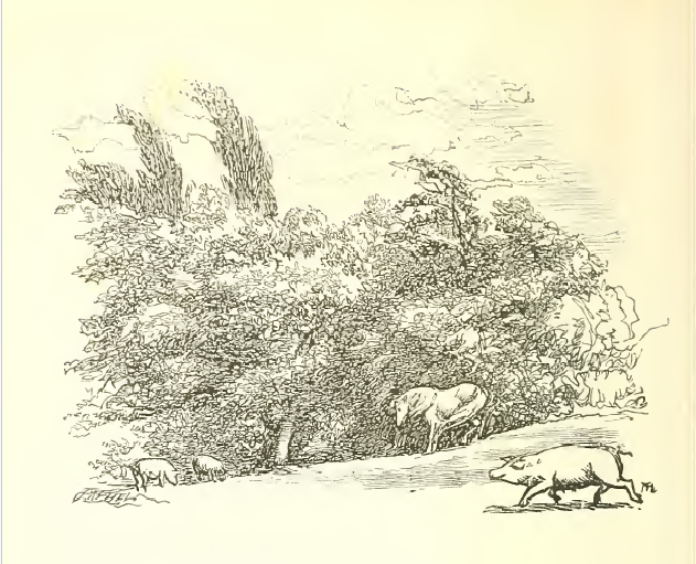 Who has seen the wind