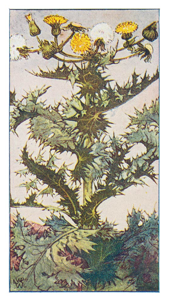 105