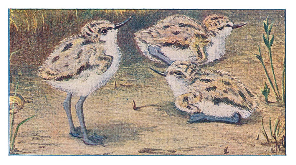 123