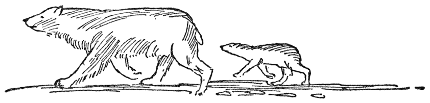 HOOFSTUK VI