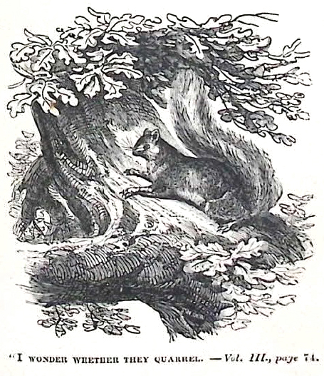 image011