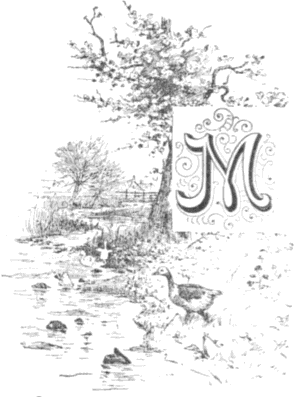 M M