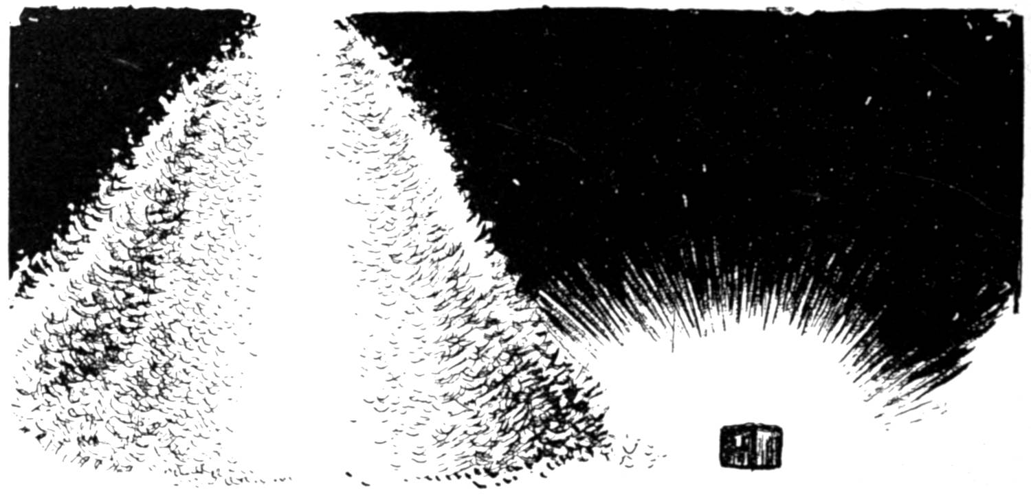 A pound of feathers next to a pound of gold