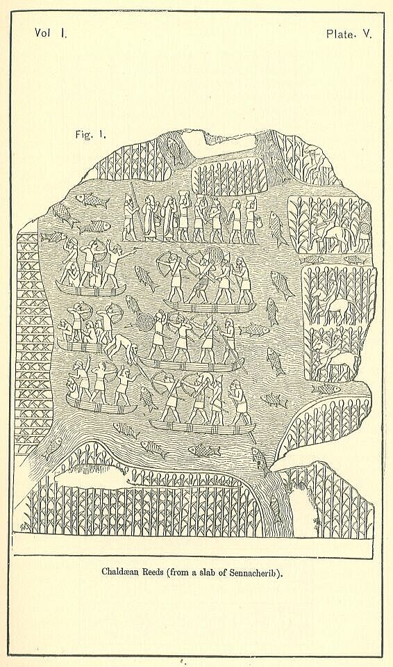 Plate 5 