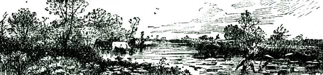 RURAL SCENE, CHAPTER HEADER. RURAL SCENE, CHAPTER HEADER.