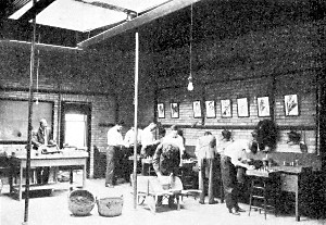 Class in propagation at work at Minnesota State
Agricultural College.