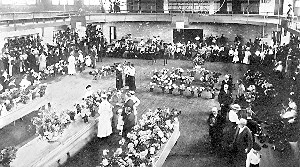 South end of Exhibition Hall at late Summer
Meeting. The flower exhibit is mostly in north end of hall, and not
showing in this picture.