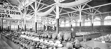 View over vegetable table and across fruit exhibit at
1916 Minnesota State Fair. Mr. Thos. Redpath, Supt. Fruit
Exhibit.