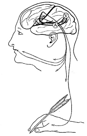 Fig. 5.&mdash;The speech zone (after Collins).