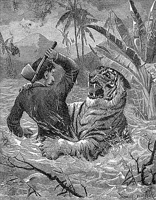 AFLOAT WITH A TIGER�