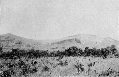 The Pared&atilde;ozinho.