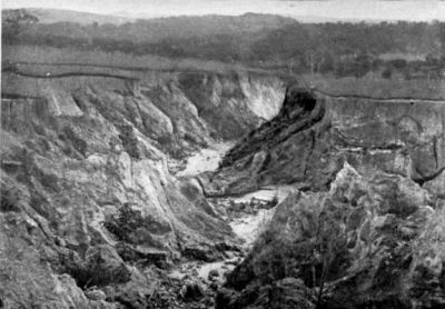 A Ca&ntilde;on of Matto Grosso.