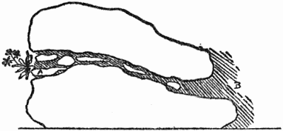 Where a rock would bear too heavily on the one below it,
even with soil between, the pressure may be relieved by the use of small
 stones. The soil run need not be straight, but it must be continuous, so
that the roots of the plant may find their way from A through to B