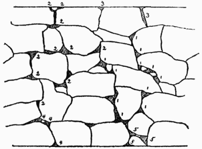 Planting plan of dry wall, the dark portions representing
the chief earth-filled crevices. The plants are: 1&mdash;Arabis albida;
2&mdash;Alyssum saxatile; 3&mdash;House leek (sempervivum); 4&mdash;Viola tricolor;
5&mdash;Armeria maritima