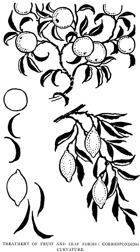 Treatment of Fruit and Leaf
Forms: Corresponding Curvature