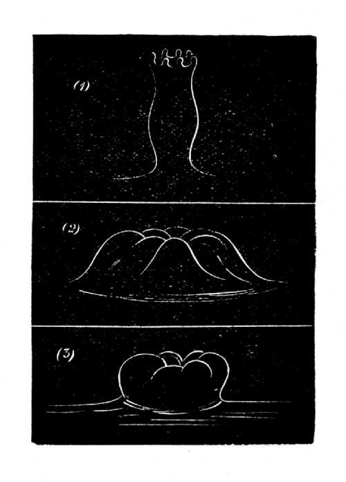 The Splash of a Solid Sphere&mdash;(continued.)
When the sphere is rough or wet, and falls above 5 feet.