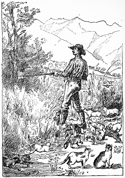 Jim and the Cats hunting Linnets.&mdash;Page 111.