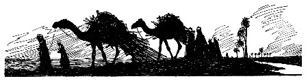 STRANGE LOOKING BEASTS MINCING ALONG LIKE GIGANTIC
PEACOCKS.