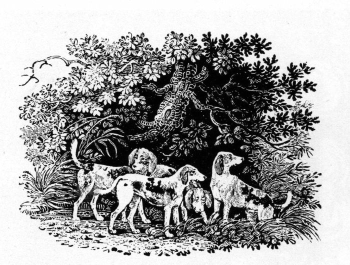 Figure 11.&mdash;Tailpiece by Thomas
Bewick (actual size), engraved after a
drawing by John Bewick, from The
Chase, by William Somervile, 1796.
(Photo courtesy the Library of Congress.)