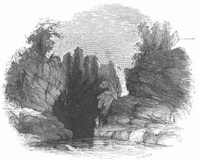 The flood like&mdash;Brig of Bannock.  (The dotted line shows
the height gained by the flood above the usual level of the
stream)