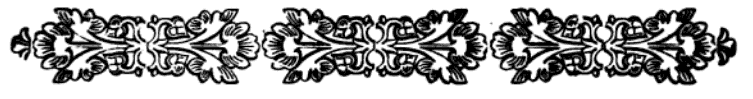 imagen (barra decorativa) no est� disponible