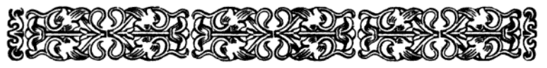 imagen (barra decorativa) no est� disponible