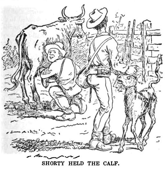Shorty Held the Calf 195