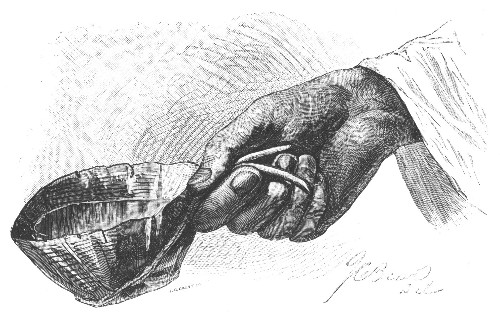 MADAGASCAN DRINKING-CUP FORMED FROM A LEAF OF THE
"TRAVELER'S TREE."