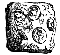 Fossil eggs of turtles from the
Island of Ascension.