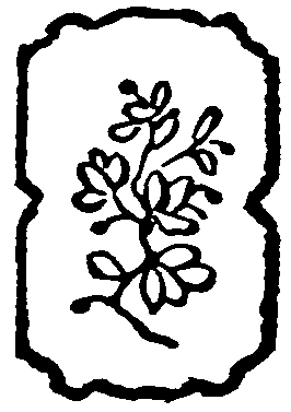 decoraci�n