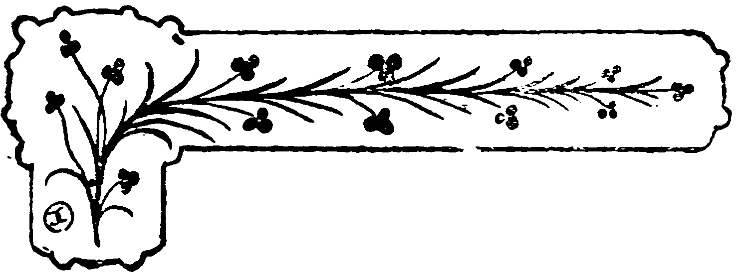 decoraci�n