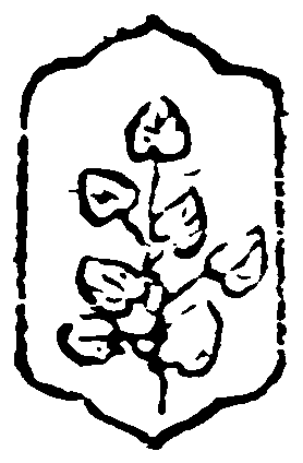 decoraci�n