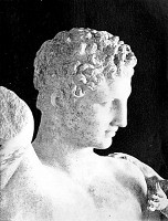 HEAD OF THE
OLYMPIAN HERMES -- Museum, Olympia -- English Photographic Co., Athens,
Photo. John Andrew & Son, Sc.