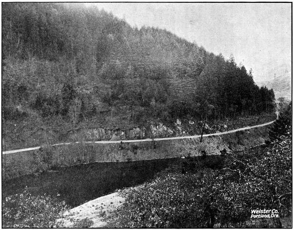 ALONG THE UMPQUA RIVER NORTH OF MYRTLE
CREEK IN DOUGLAS COUNTY. GRADED IN 1917 AND 1918