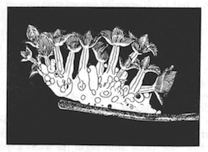 Illustration: Fig. 32.&mdash;Zoarium of
Lophopodella carteri moving along the stem of a water plant, � 4. (From
Igatpuri Lake.)