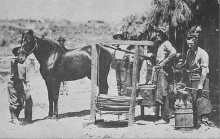 "The muscles of his brawny arms are strong as ironbands...." Union Army blacksmiths
had to shoe nearly 500 new horses and mules daily.