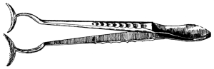Treacher Collins&rsquo;s Entropion Forceps