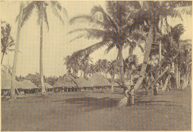 I THOUGHT THE VILLAGE BACK OF APIA, SAMOA, WAS DESERTED, BUT IT
WAS ONLY THE NOON HOUR